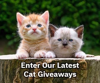 enter latest cat giveaways graphic