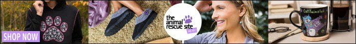 best animal charities
