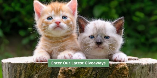pet giveaways for cats