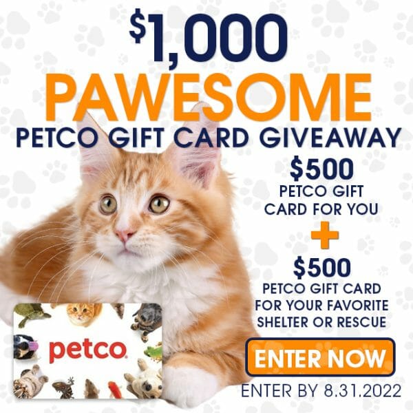 petco gift cards cat giveaway