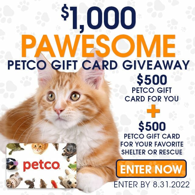 pawesome-petco-gift-cards-giveaway-for-cat-owners-and-lovers