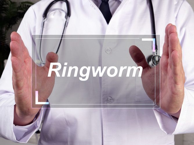 ringworm in cats - how do cats get ringworm